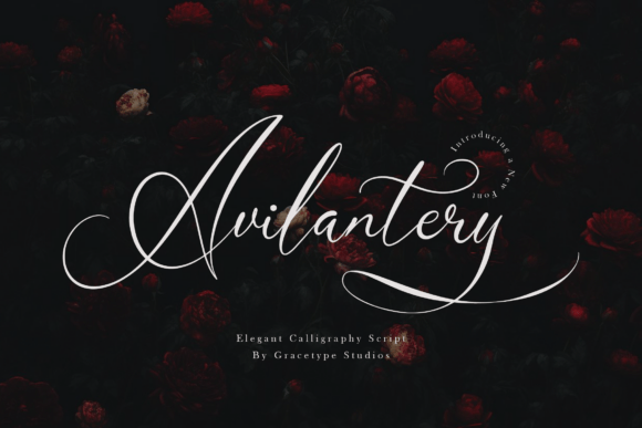 Capture the Essence of Romance with Avilantery Font