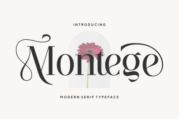 Montege: Elevating Typography with Timeless Elegance and Modern Sophistication